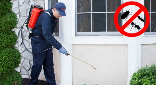 Eşme Dezenfeksiyon böcek ilaçlama ve haşere kontrolü — ilaclama-tr.com